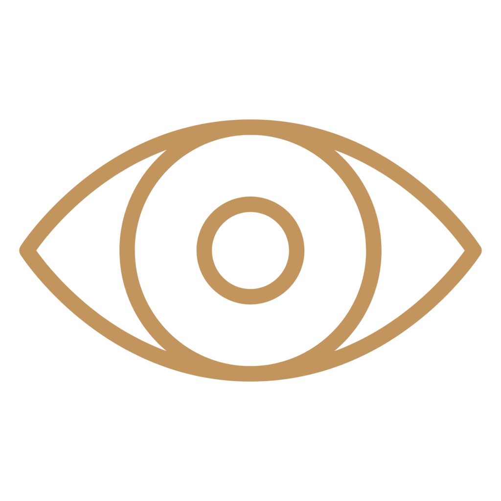 VISIÓN